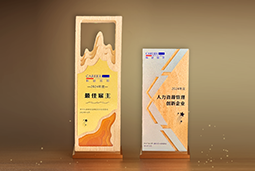 VSPORTS(中国)国际一举斩获“2024年度中国区最佳雇主”等多项大奖