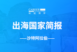 VSPORTS(中国)GO GLOBAL | 沙特阿拉伯国家简报